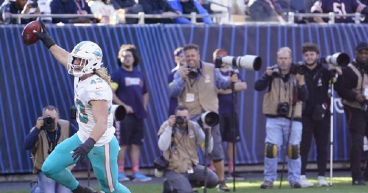 Dolphins bears football