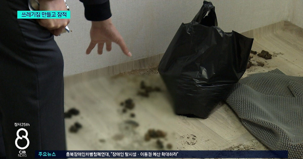집 빌려줬더니 쓰레기 더미 남기고 사라진 세입자..청소비만 수백만원