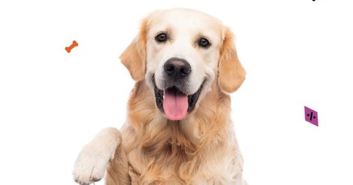 id-pet