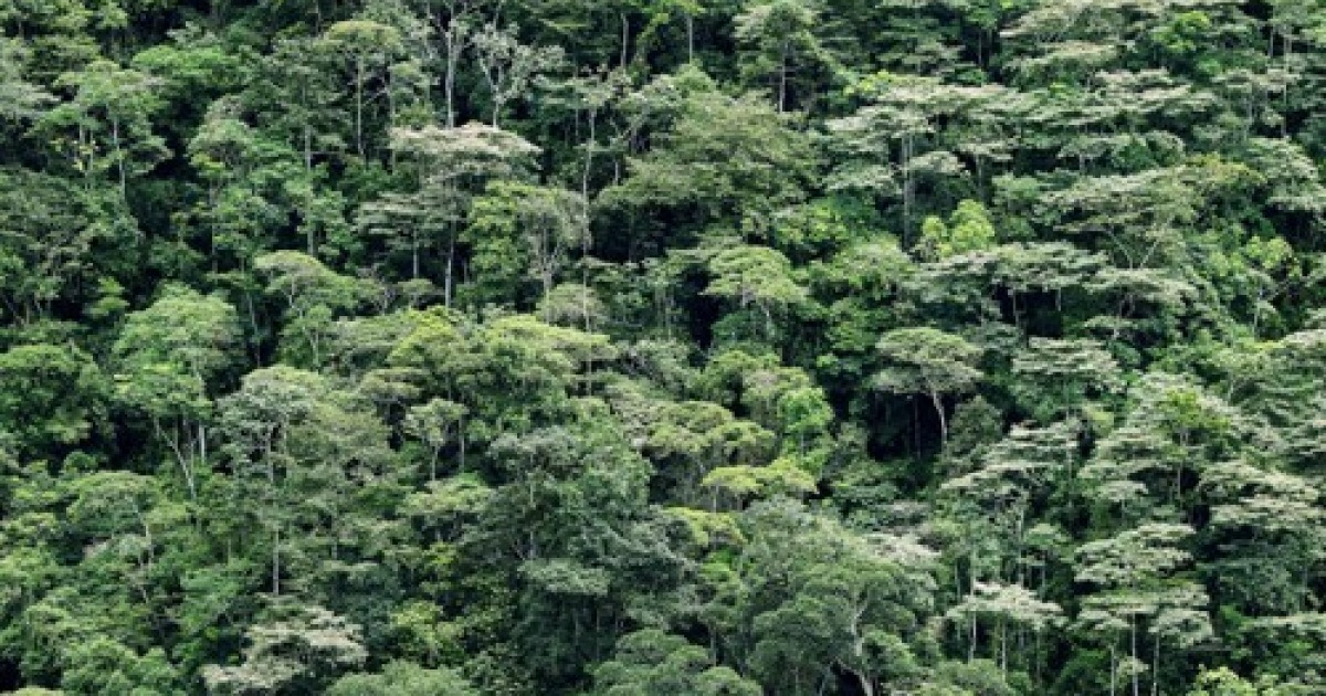 Costa Rica Tourism Guide
