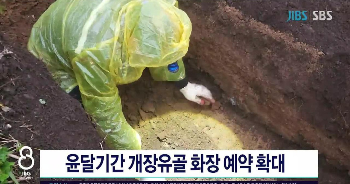 윤달기간 개장유골 화장 예약 확대