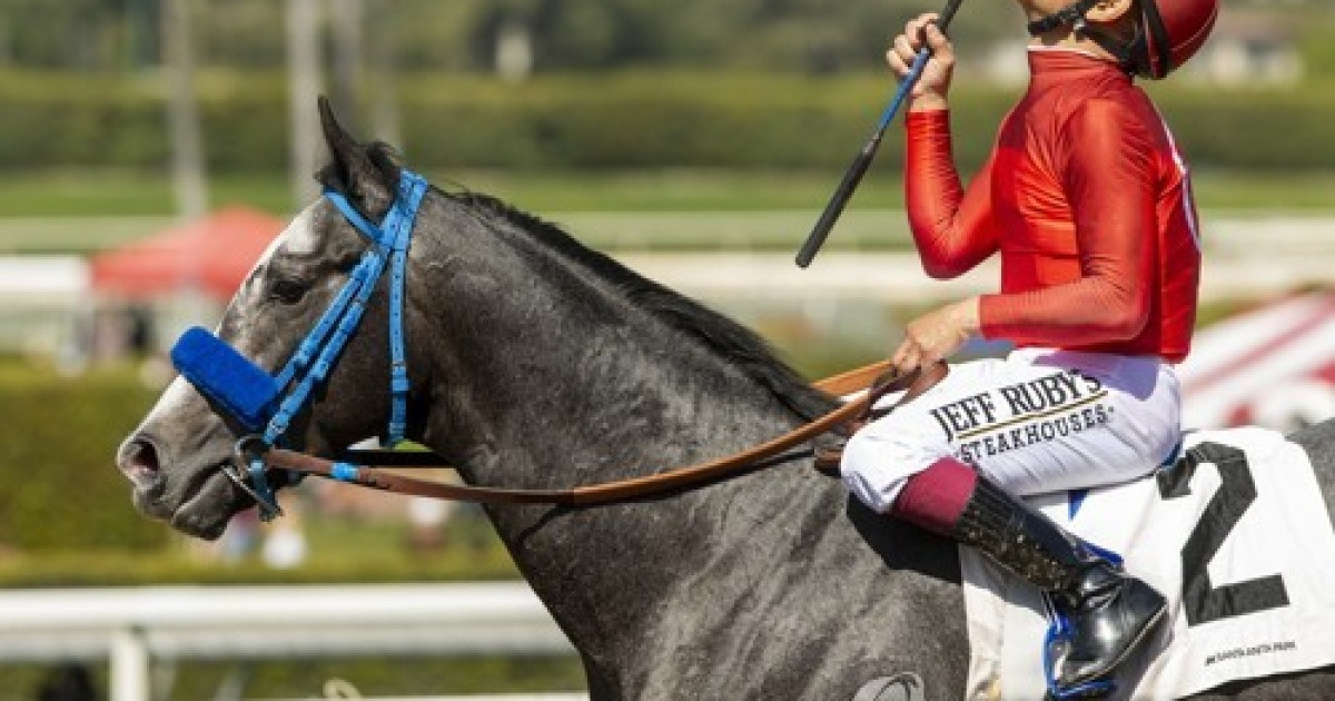 Santa Anita Horse Racing Schedule Tomorrow
