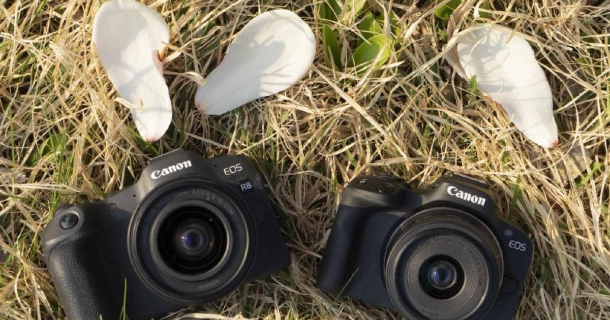 캐논 EOS R8·R50으로 짚어보는 '풀프레임' vs 'APS-C' 카메라