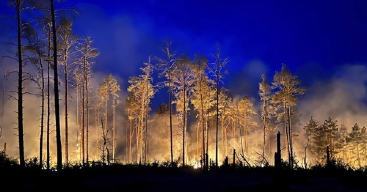Germany Wildfires