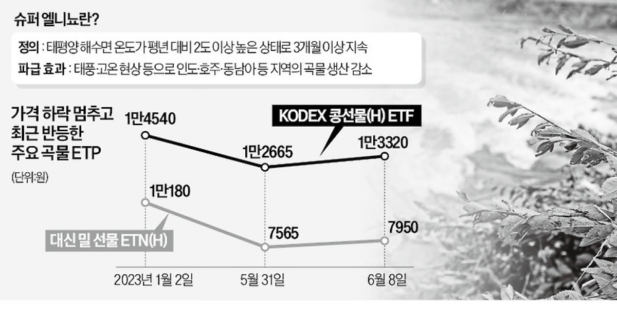 슈퍼 엘니뇨 온다?…농산물 Etf 먼저 뛰었다