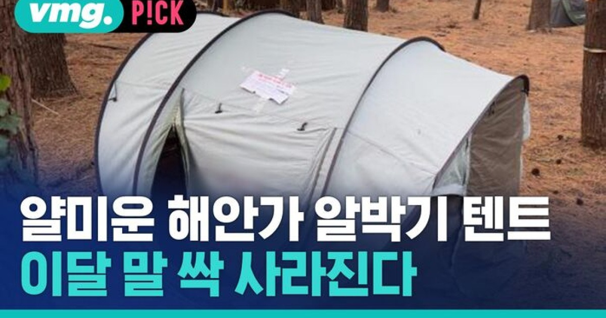 [비머pick] 얄미운 해안가 알박기 텐트…이달 말에 싹 사라집니다