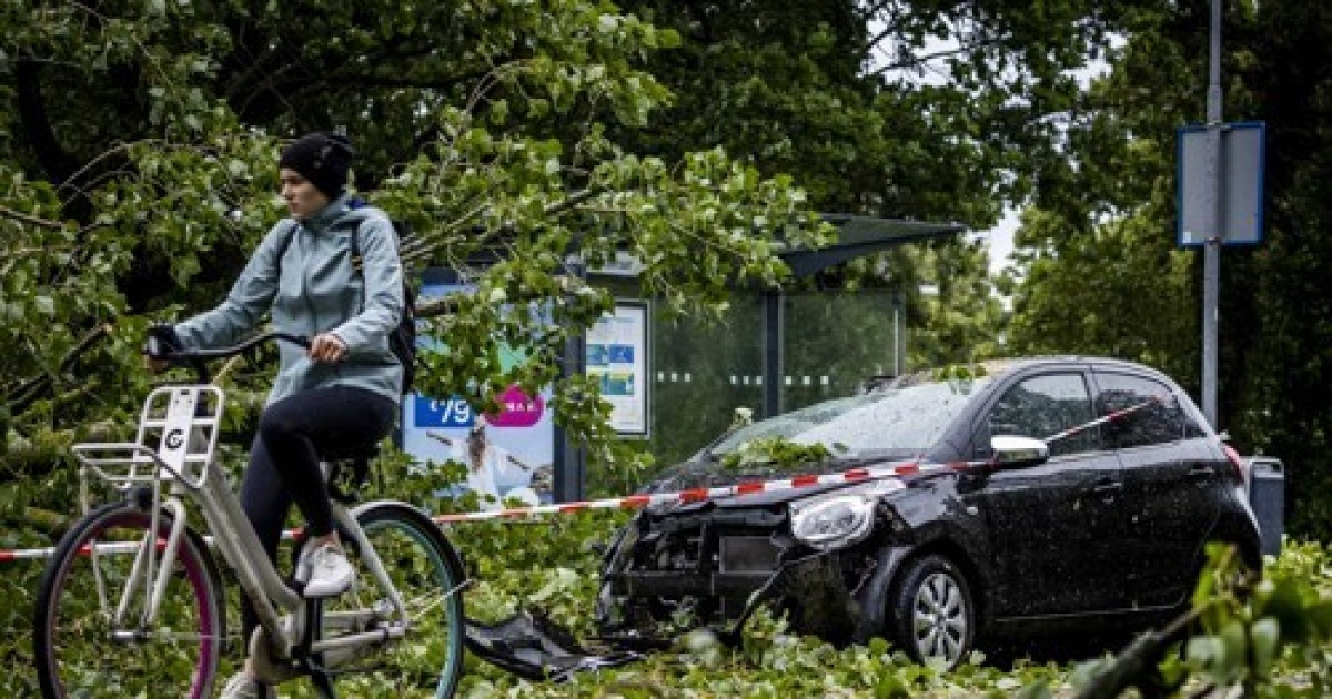 Netherlands weather