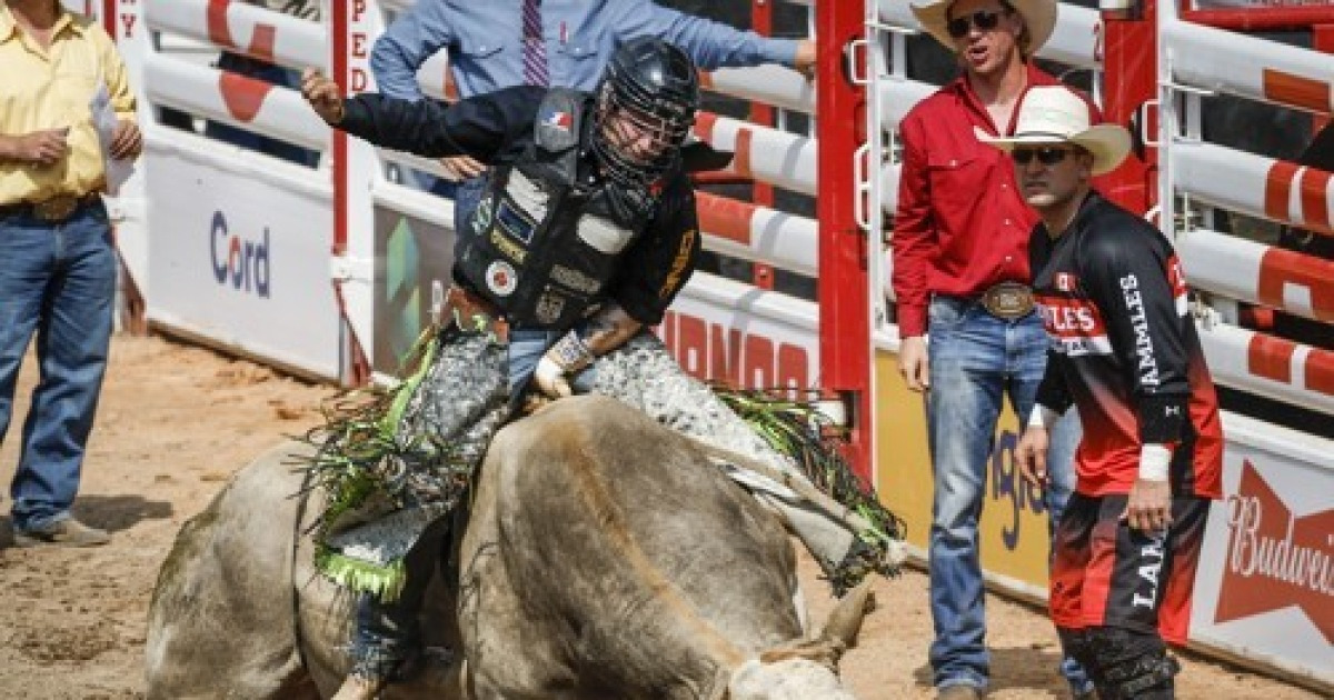 Stampede Rodeo