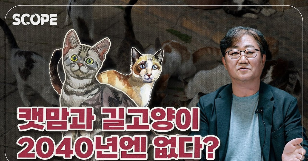 [이영완의 Scope] 캣맘 논란을 과학적으로 해결할 방법