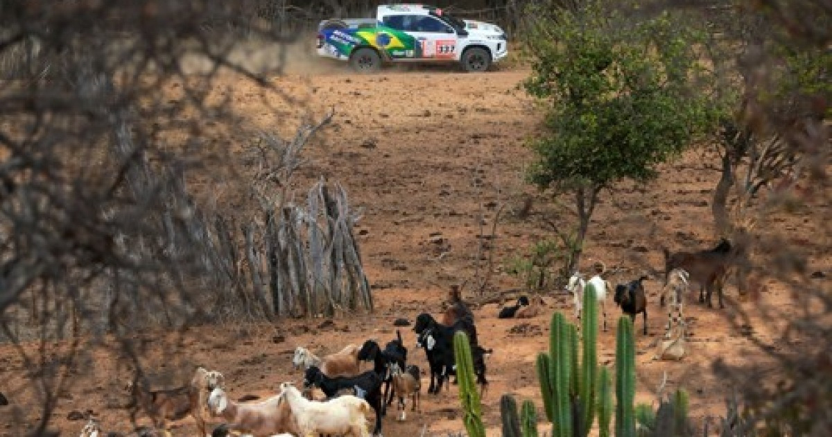 BRAZIL MOTOR RALLYING
