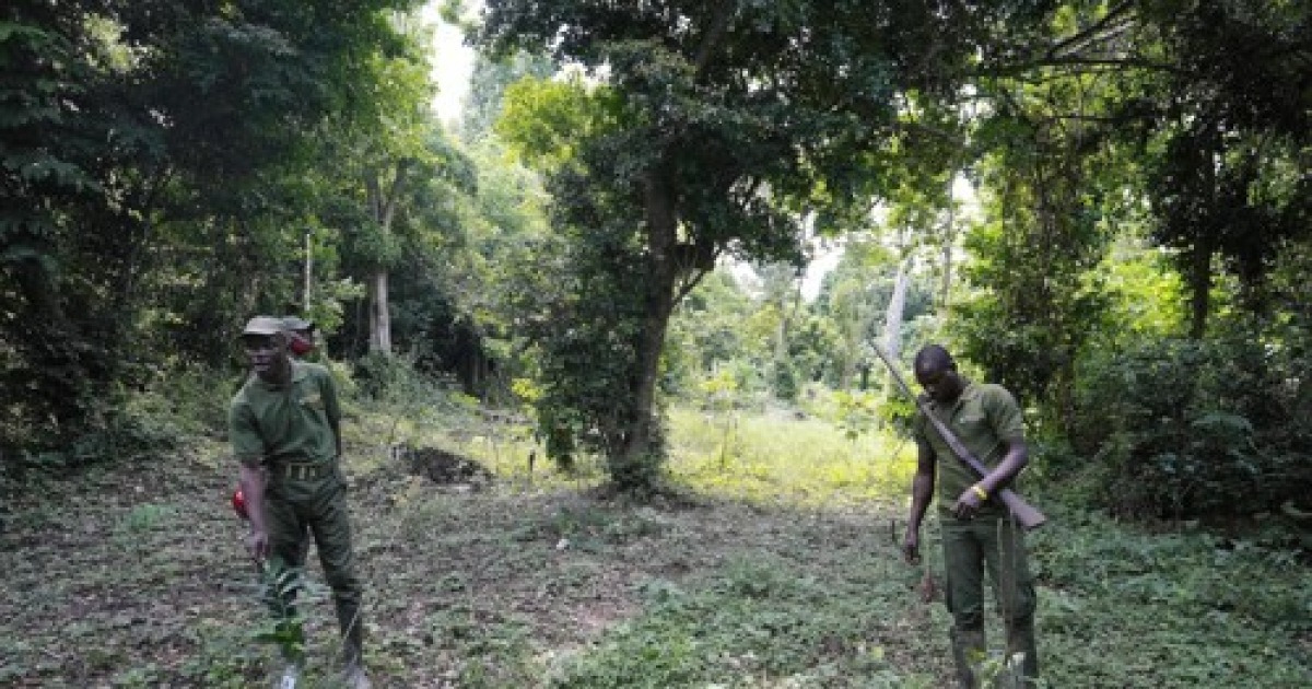 Nigeria Poachers Turned Rangers