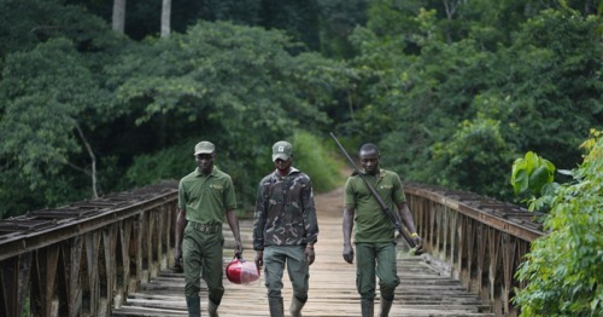 Nigeria Poachers Turned Rangers