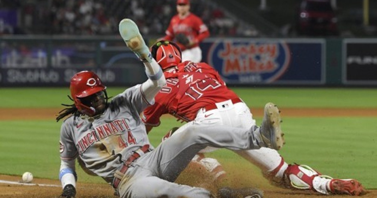 Reds Angels Baseball
