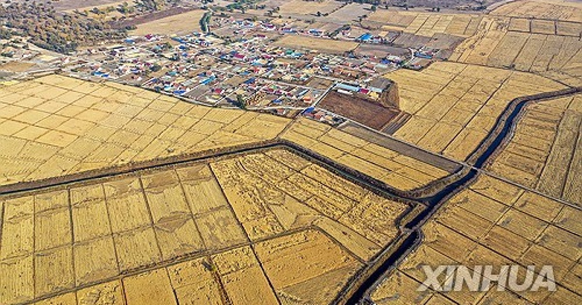 CHINA-INNER MONGOLIA-TONGLIAO-HARVEST SEASON (CN)