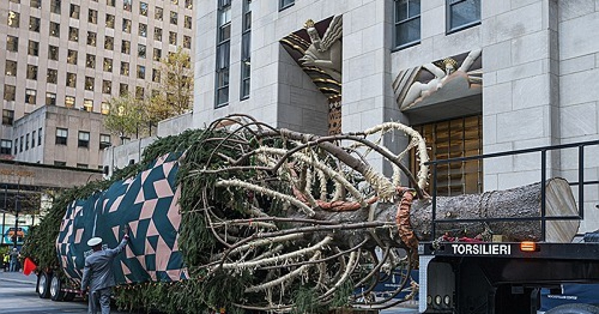 Christmas Tree Rockefeller Center