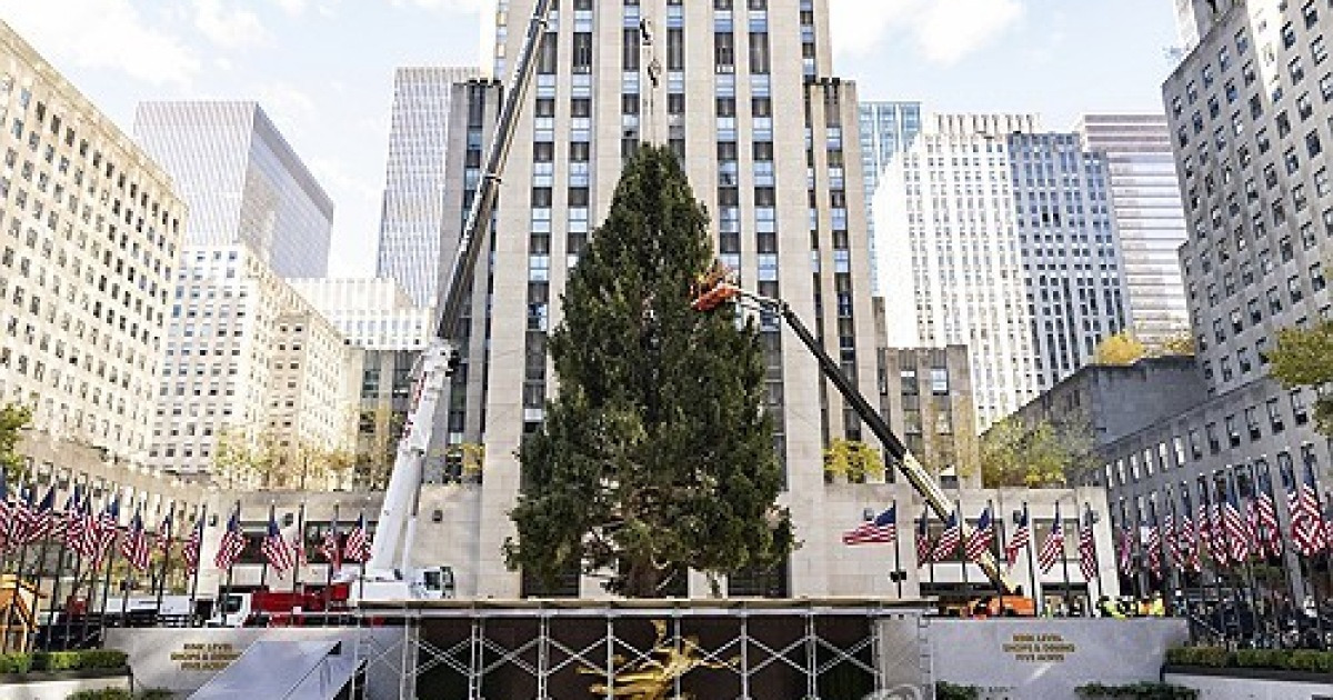 2023 Rockefeller Center Christmas Tree Arrival