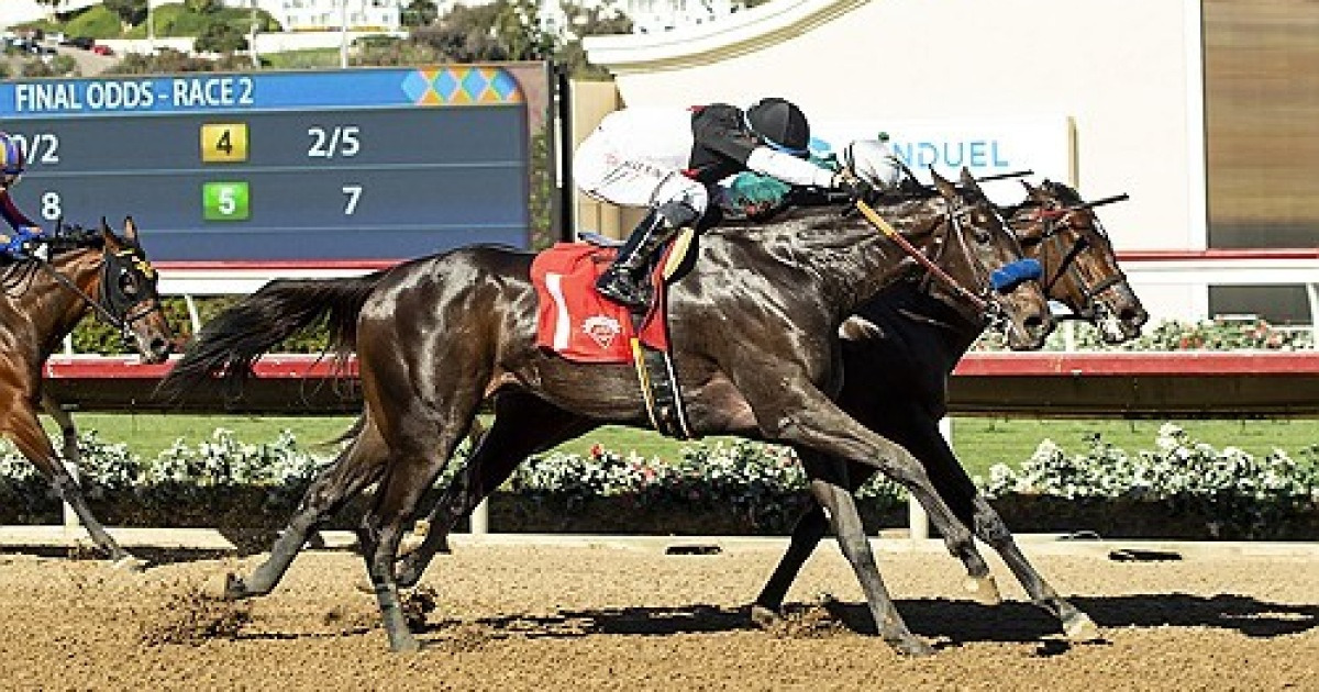 del-mar-horse-racing