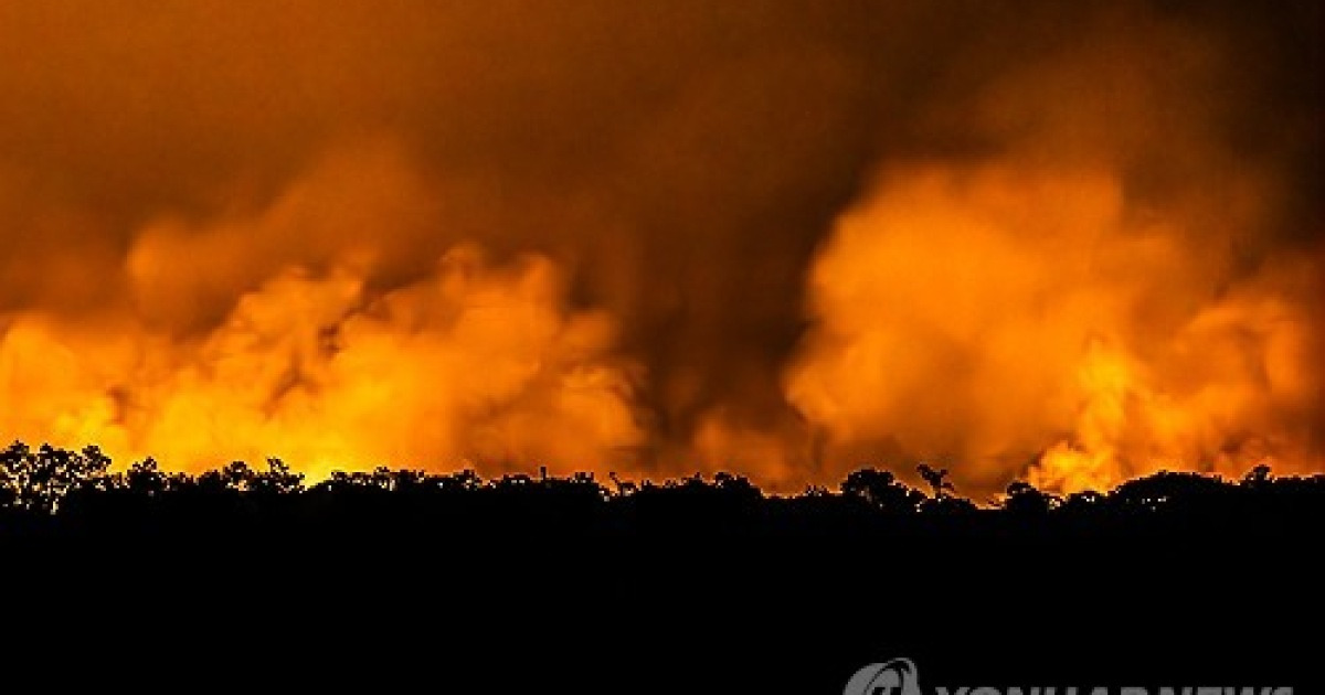 BRAZIL FIRES