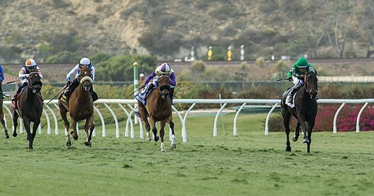 Del Mar Horse Racing