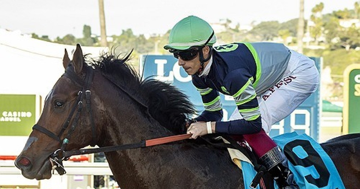 Del Mar Horse Racing