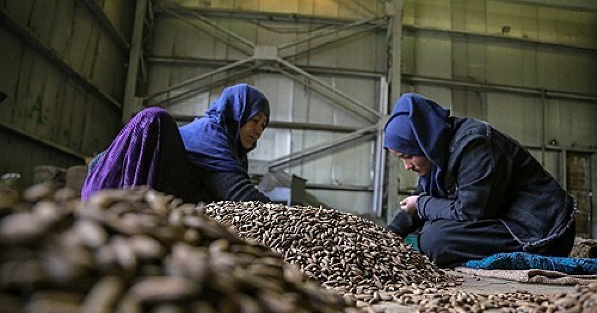 AFGHANISTAN DRY FRUITS EXPORT