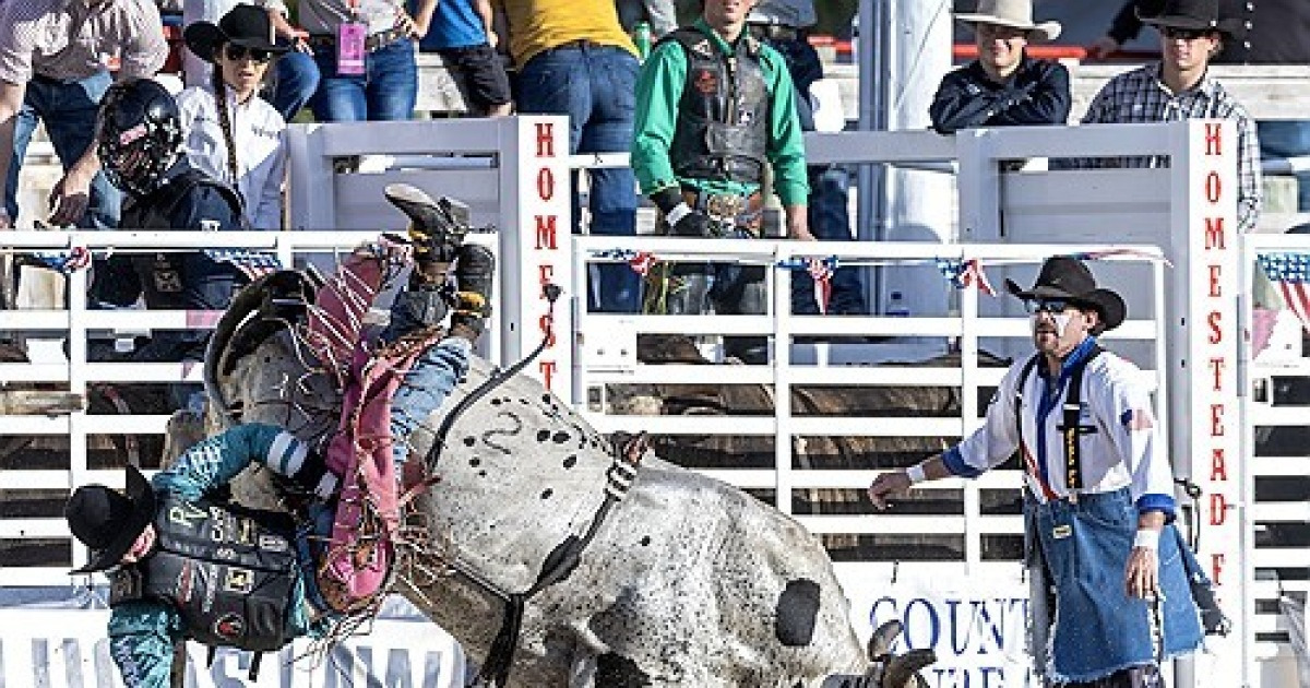 USA RODEO