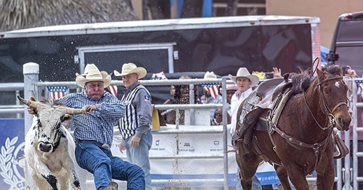 USA RODEO