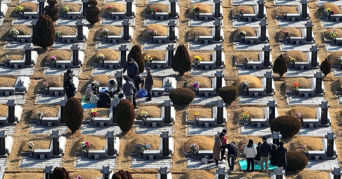 다음주 설연휴, 이른 성묘