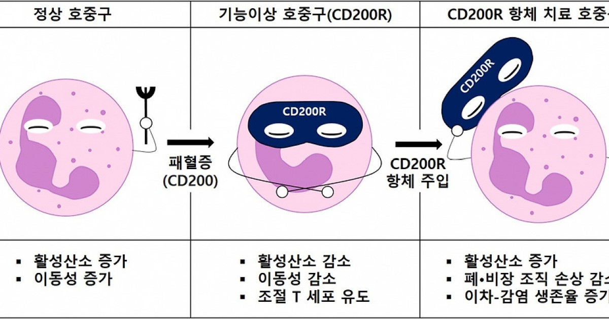 성균관대 배외식 교수 연구팀, 새로운 패혈증 치료 타겟 발굴