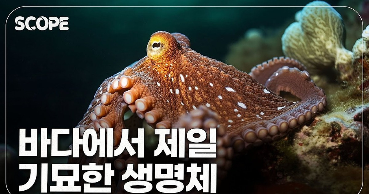 [이영완의 Scope] 문어 빨판 활용한 신기술! 주사 없이 약물 투여 가능해진다