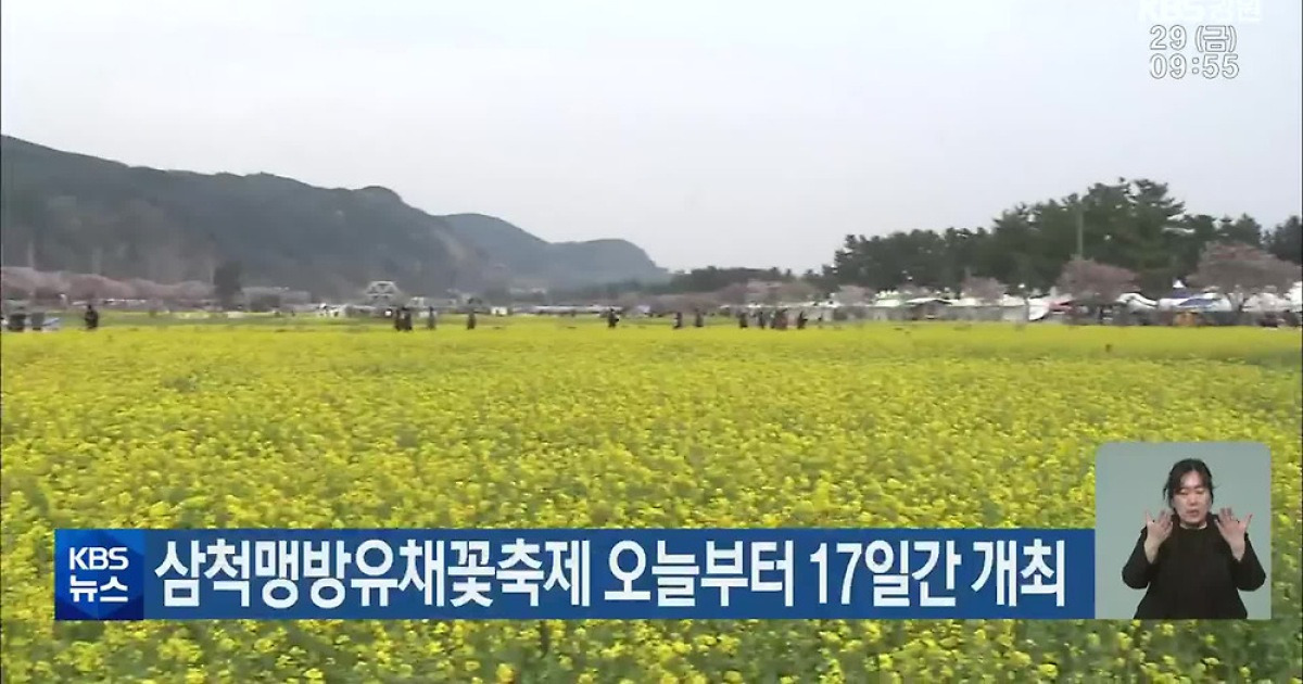 삼척맹방유채꽃축제 오늘부터 17일간 개최
