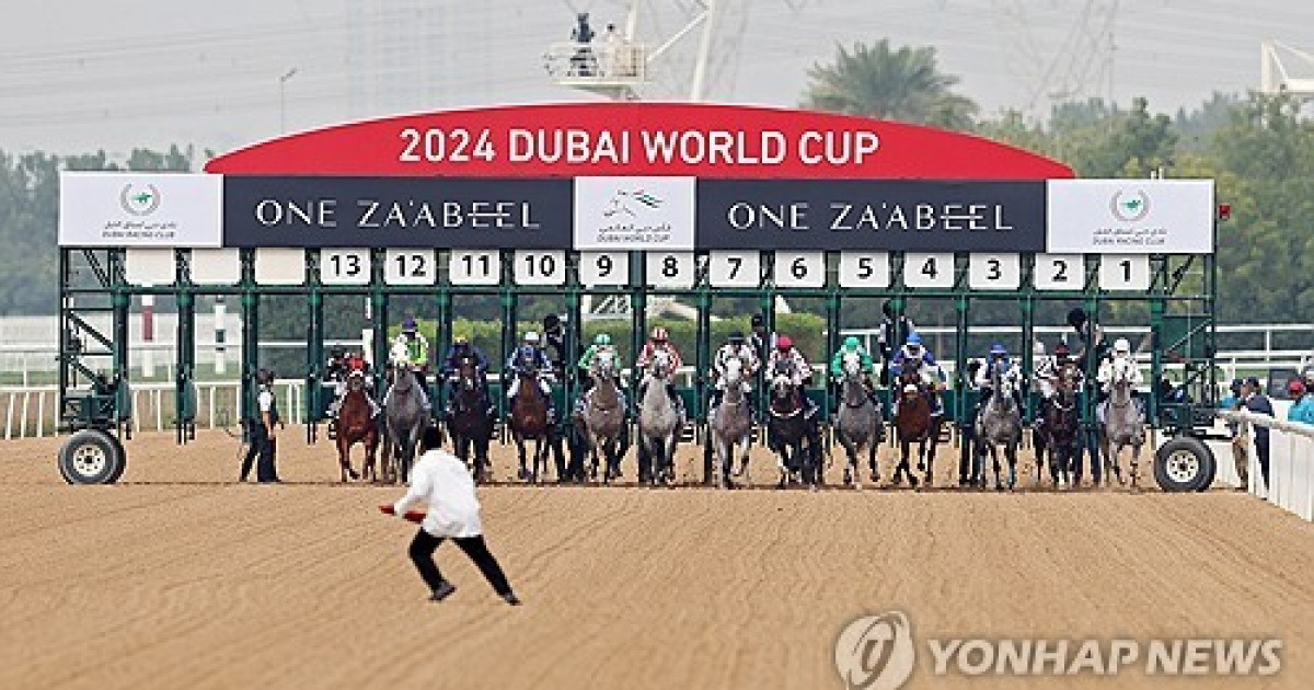 UAE HORSE RACING