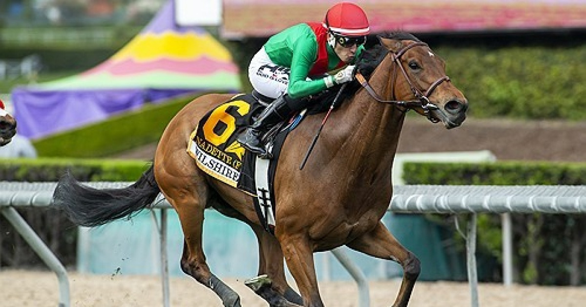 Santa Anita Horse Racing