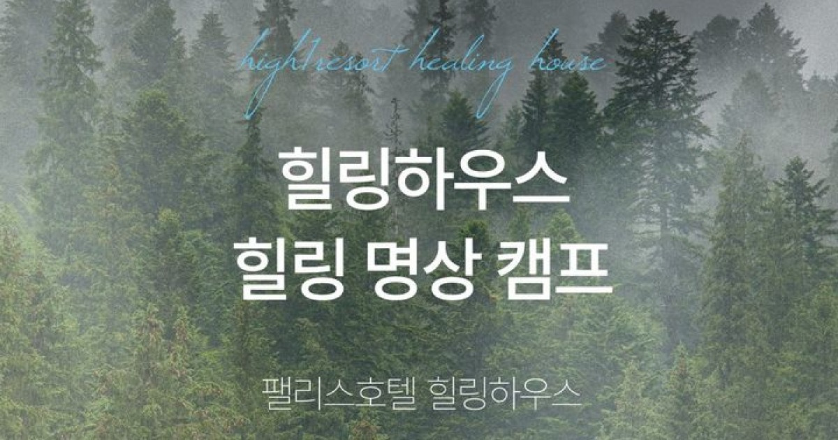 '일상 마음챙김' 하이원, 자연과 함께 하는 힐링 명상 캠프