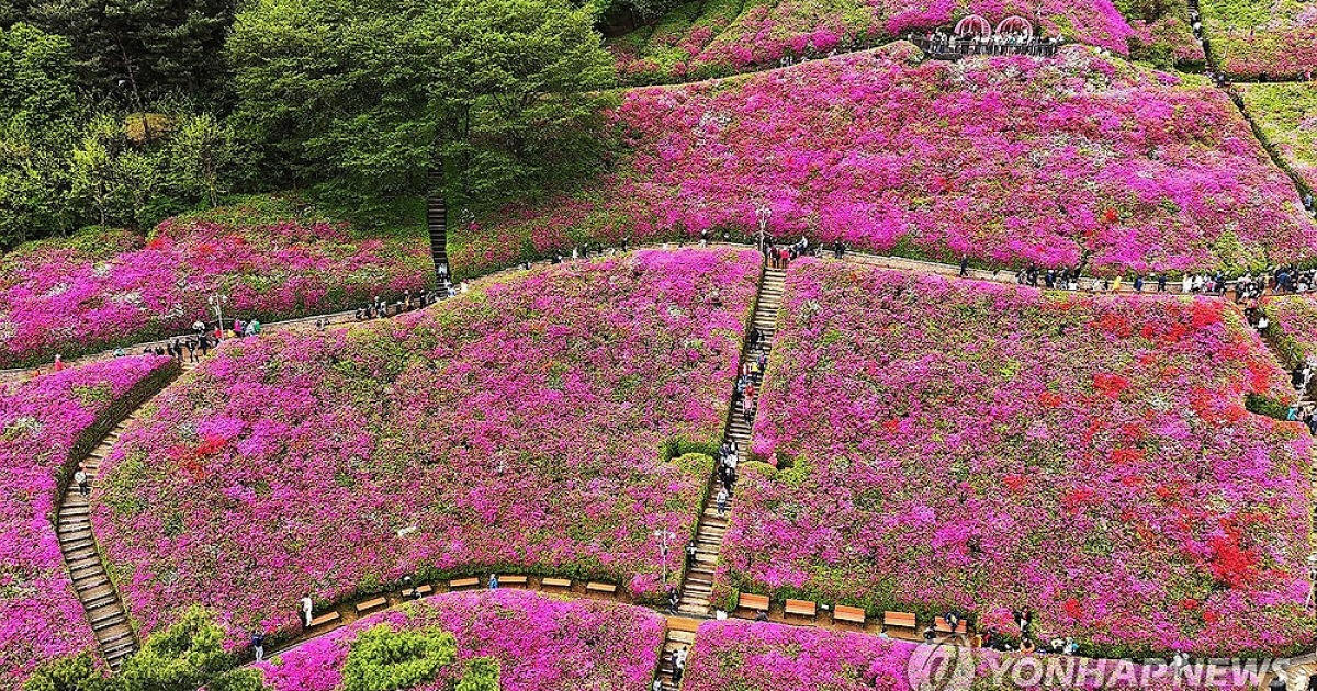 울긋불긋 꽃 대궐