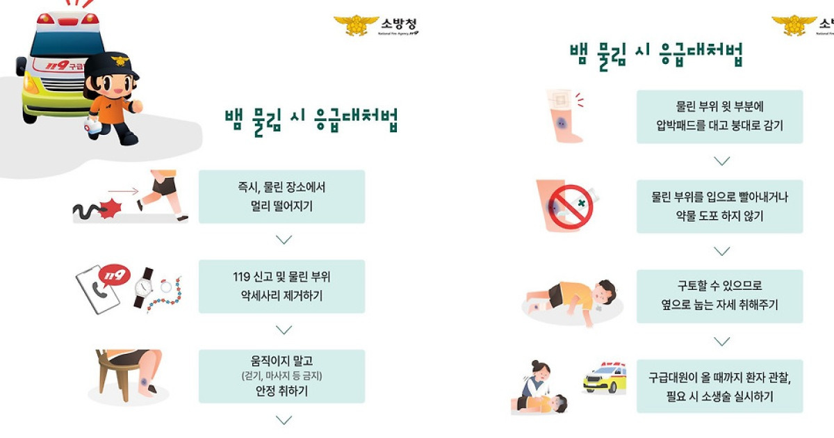 뱀 물림 조심해야···5~9월 뱀 물림 사고 집중