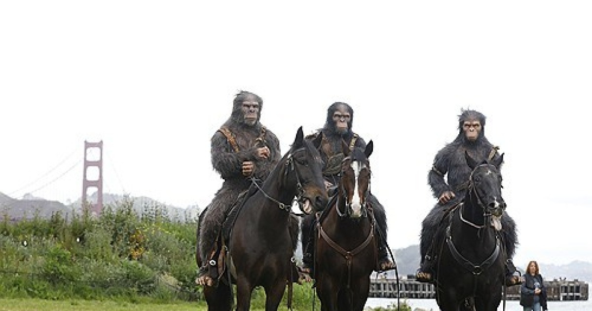 san-francisco-kingdom-of-the-planet-of-the-apes