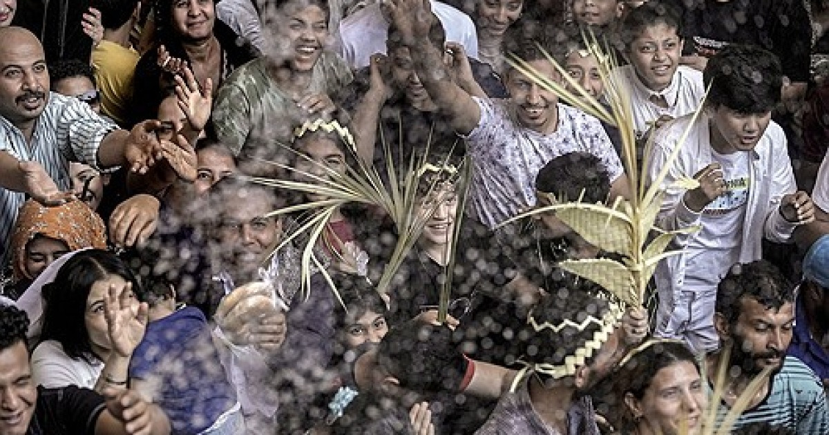 Egypt Palm Sunday