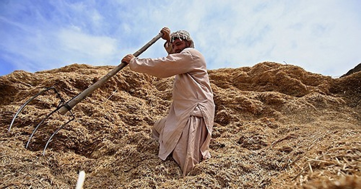 PAKISTAN INTERNATIONAL LABOR DAY 2024