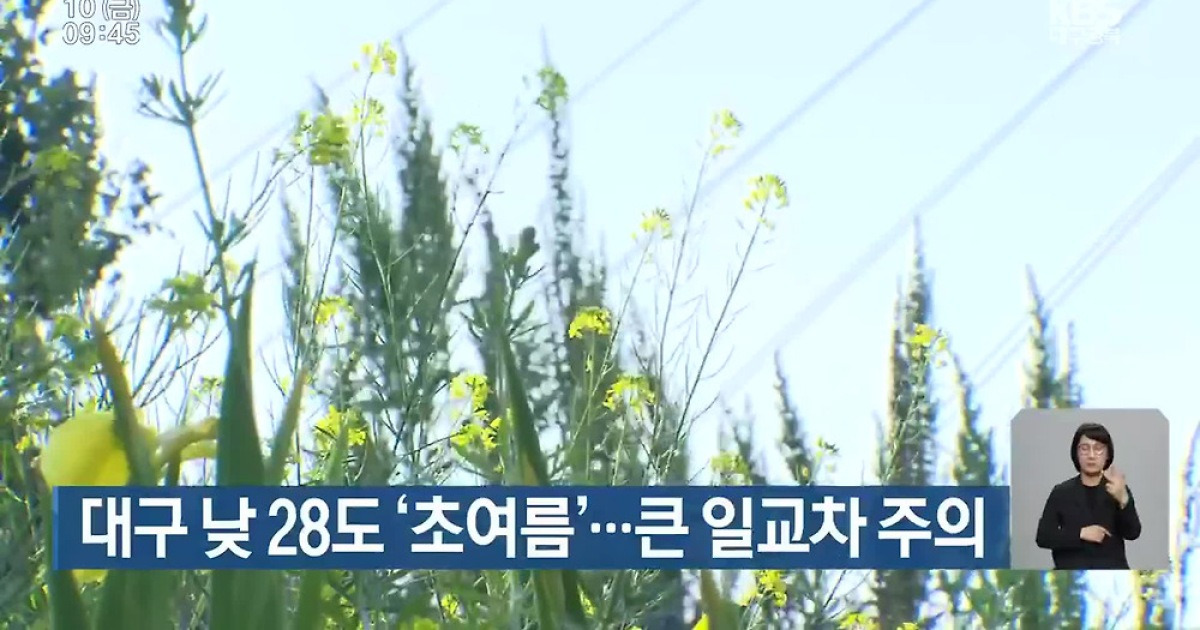 대구 낮 28도 ‘초여름’…큰 일교차 주의