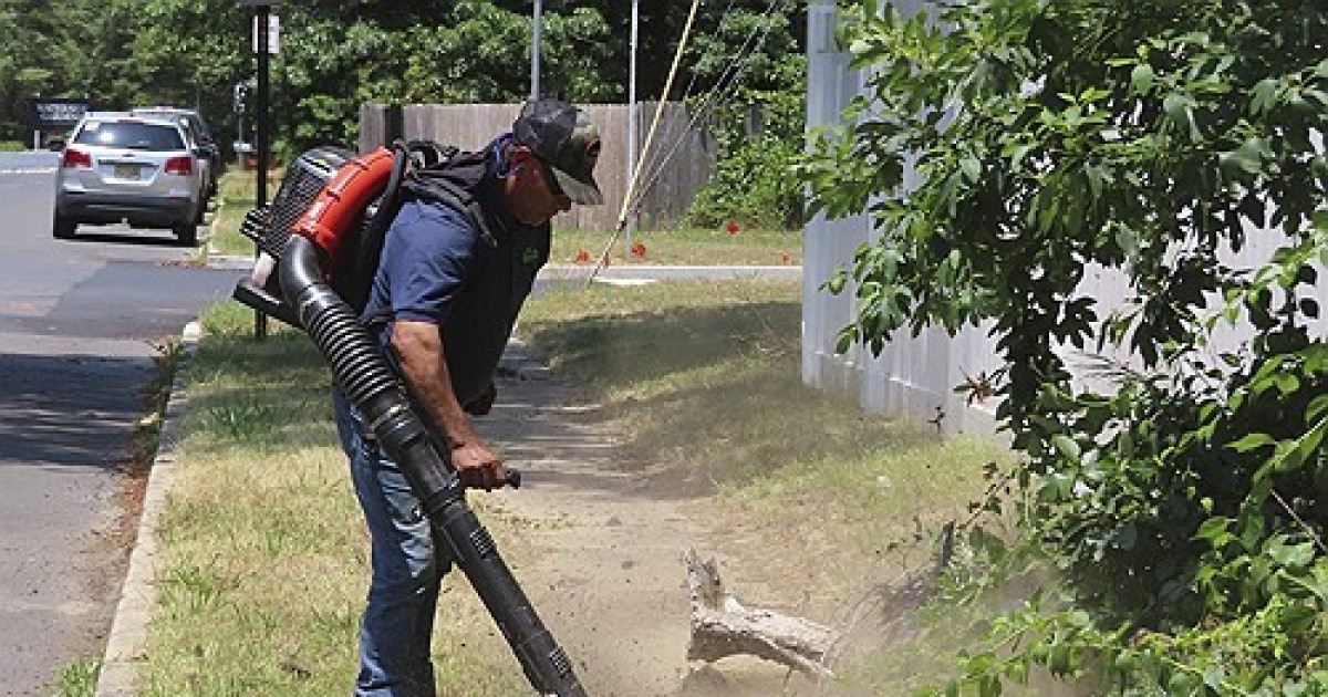 GasPowered Leaf Blower Bans