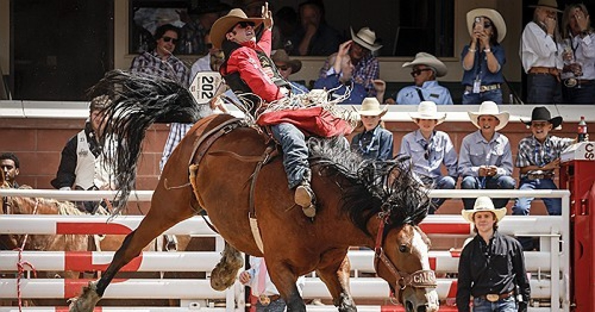 Calgary Stampede Rodeo