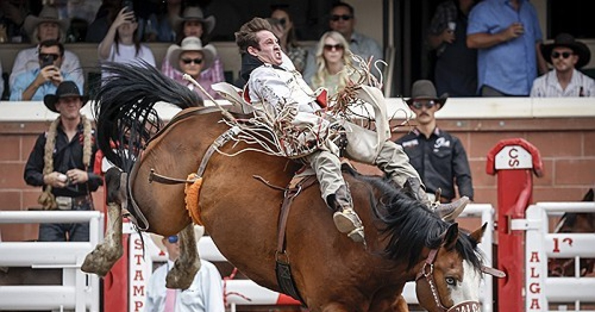 Calgary Stampede Rodeo
