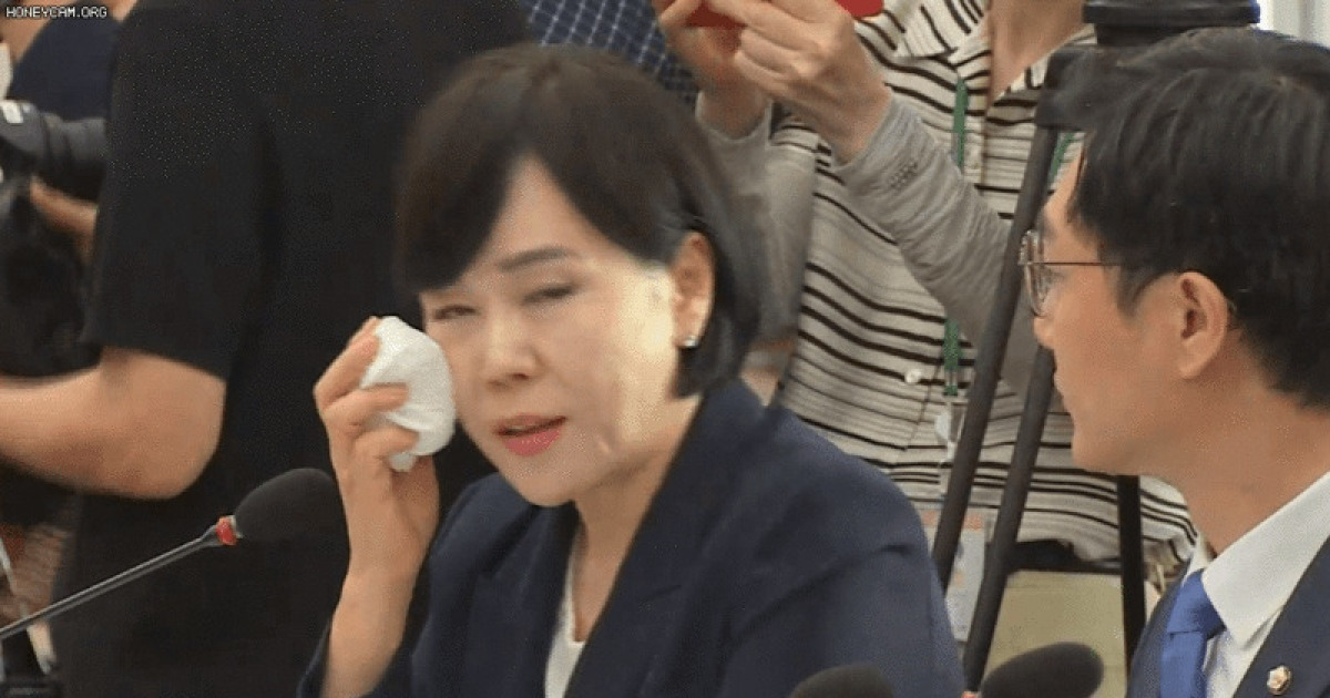 윤 대통령 탄핵 청문회에 웬 '얼음팩'이? [짤e몽땅]