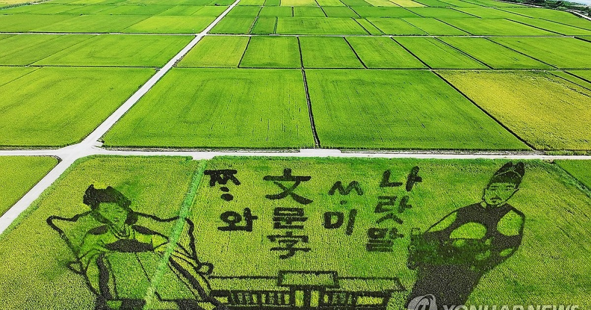 들판에 새겨진 논 그림