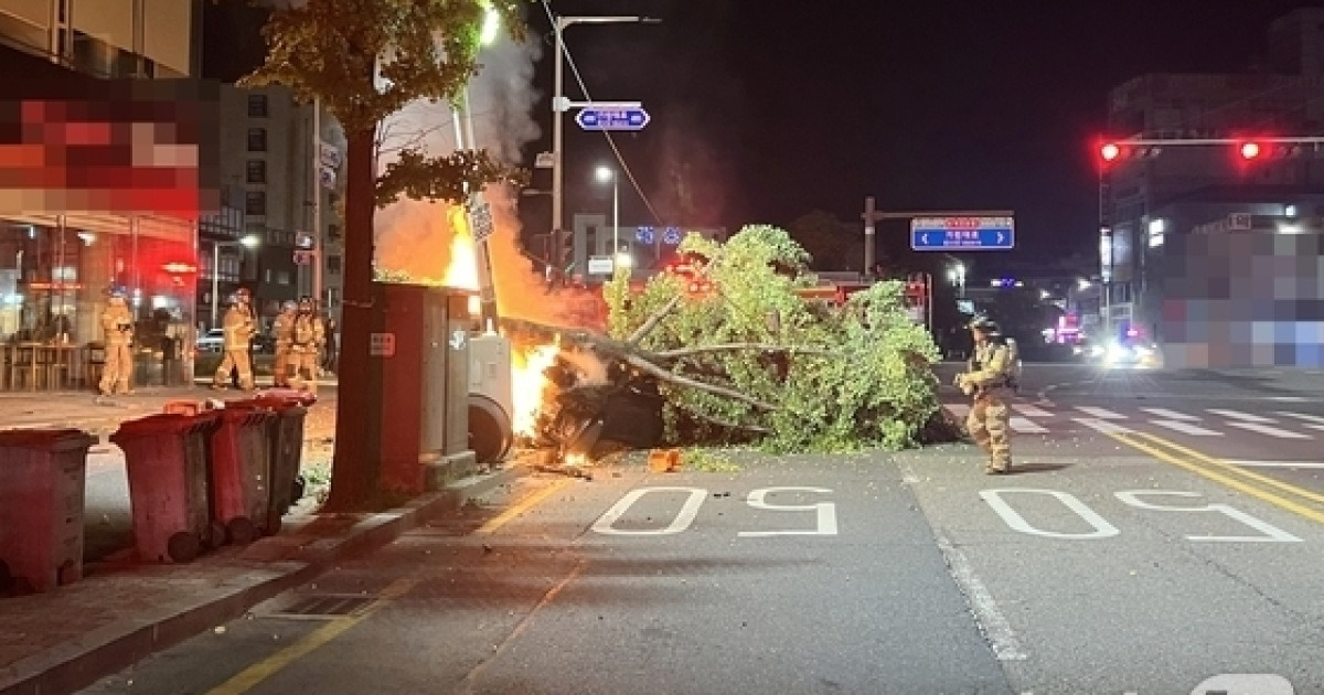 무면허로 렌터카 몰다 전신주·가로수 들이받고 도주한 20대(종합)