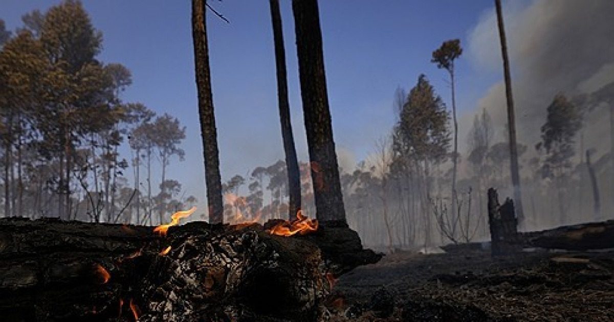 Brazil Fire