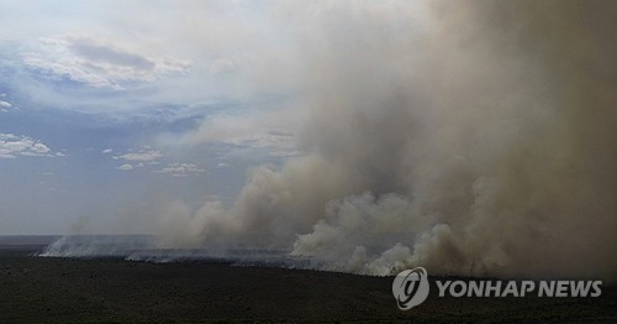 Brazil Fires
