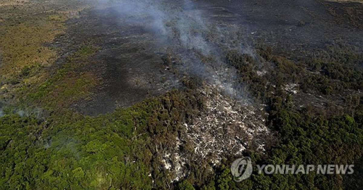 Brazil Fires