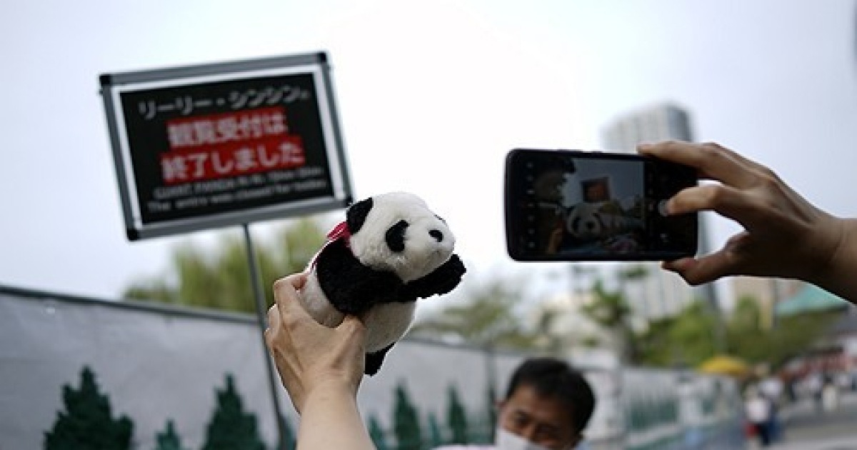 Japan Panda Farewell